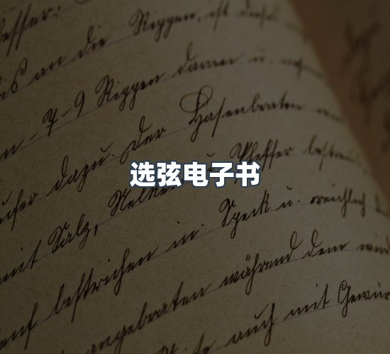 关于选弦电子书